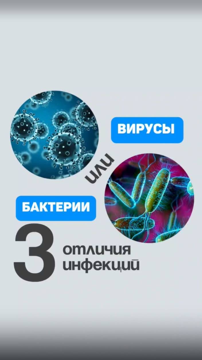 3 отличия вирусной и бактериальной инфекций. Алена Братишко смотреть онлайн