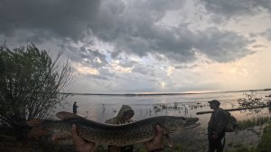 Рыбалка на Амуре: Улов зубастой!
