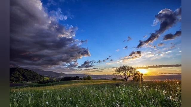 Полная лодка ромашек 2, песня смотреть онлайн