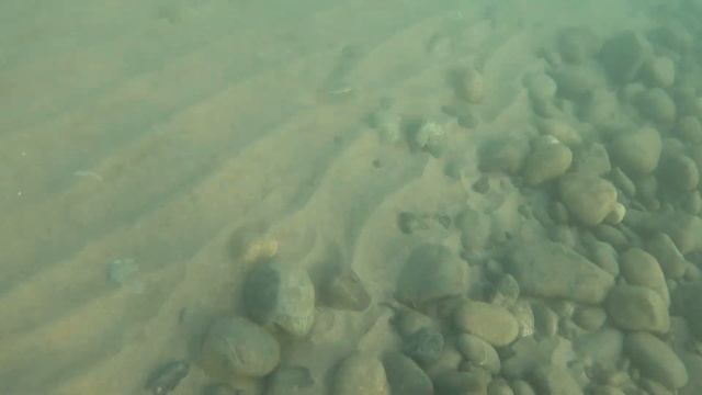 В море с головой смотреть онлайн