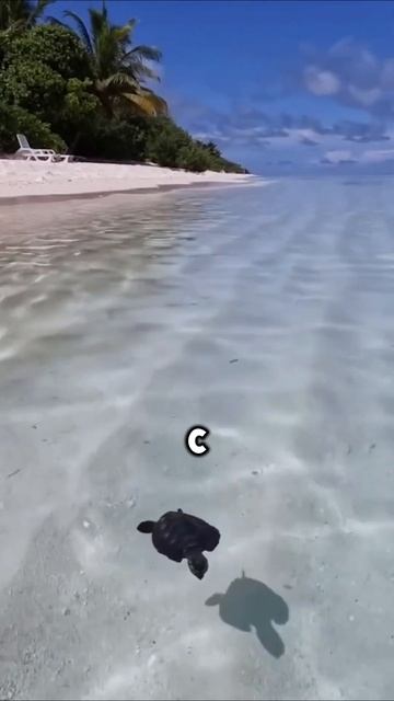 Народный Банкир