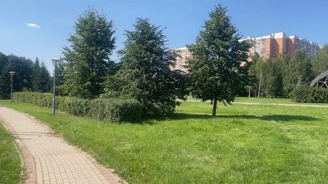 Летняя Идиллия в Парке, Где Солнце Ласкает Пышную Зелень