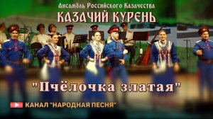 Казачий Курень-Пчелочка златая