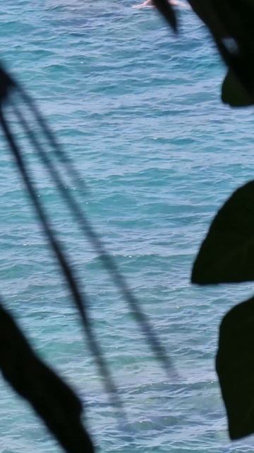 Aska Bayview Resort, Турция