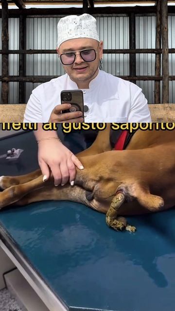 Впечатлительным не смотреть‼️ Читайте описание под видео