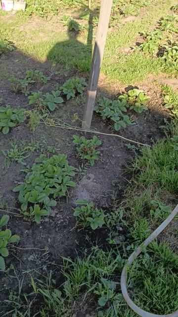 в продаже димок с участко снт Березка смотреть онлайн