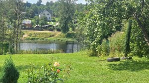 Стрижка шиповника