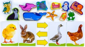 Названия Животных для Малышей 🐶🐘 Учим, Повторяем и Развиваем Речь! ✨🧩