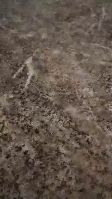 ... смотреть онлайн