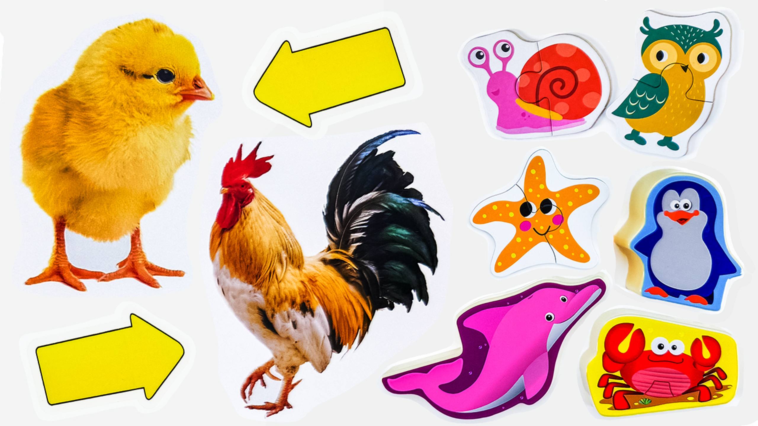 Запуск Речи с Животными 🐶🐷 Весёлое Видео для Малышей с Карточками Домана и Игрушками 🧩🎵 смотреть онлайн