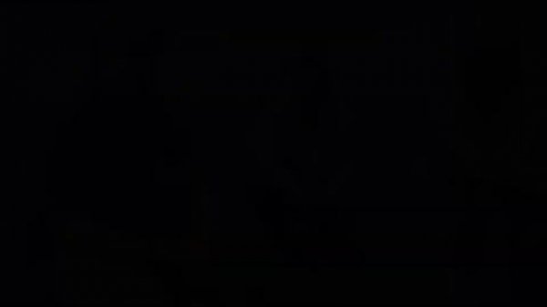 Возделывание сорго в Воронежской области, agroXperia & Euralis