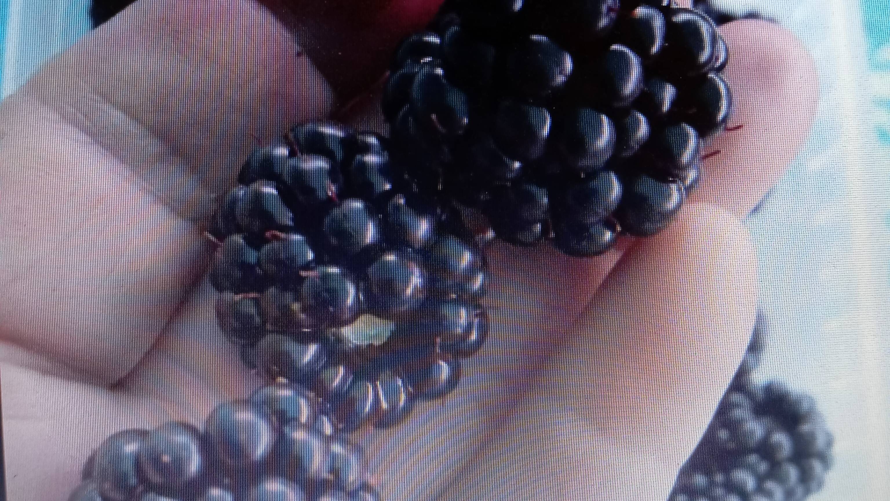 VID_20250725_130351 Ежемалина Торнфри.