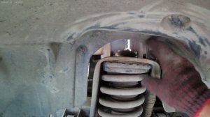 проставки капролактан под стойку амортизатора Рекстон 1