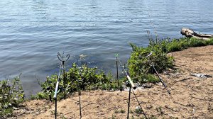 РЫБАЛКА В ЖАРУ! МОСКВА-РЕКА!