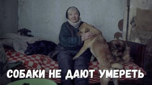 Бабушка греется собаками! Отопления в доме нет.