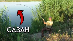 Карповик в ДУГУ - САЗАН на берегу!!