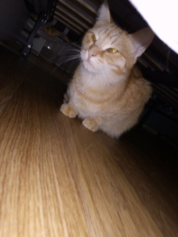 создаём карту.