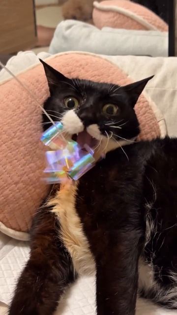 Лень смотреть онлайн