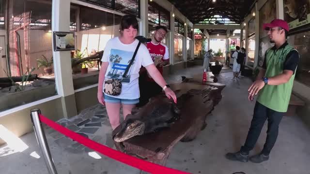 ЛАНГКАВИ. СУПЕР КОНТАКТНЫЙ ЗООПАРК -LANGKAWI WILDLIFE PARK