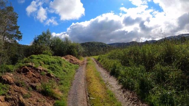 Virtual Run Seamless Switch Summer Winter On The Same Trail