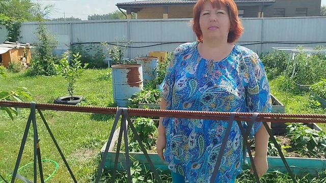 Как сделать опору для огурцов? смотреть онлайн