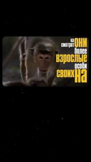 Как правильно воспитывать детей