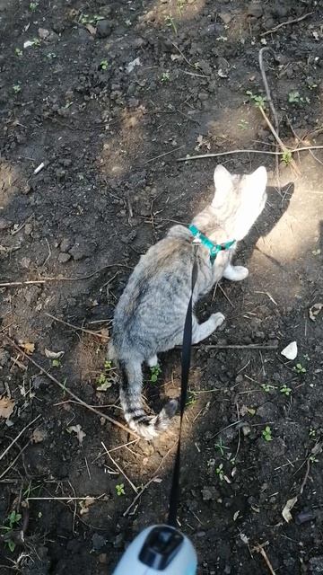 VID_20250716_111147.mp4 смотреть онлайн