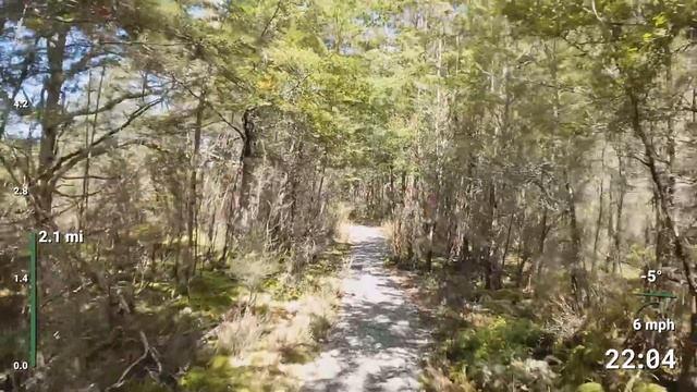 Virtual Running Videos Treadmill Workout Scenery Forest Trail To Rainbow Beach