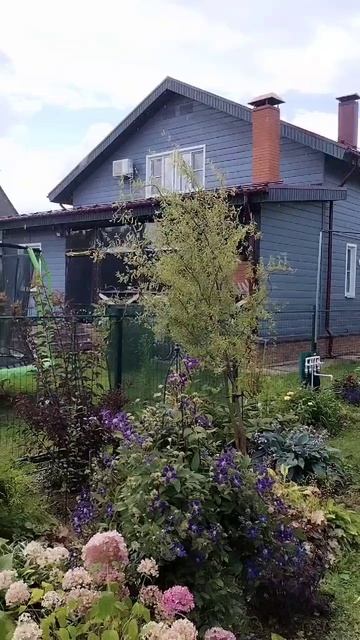 Чистое небо, а дождь откуда? смотреть онлайн