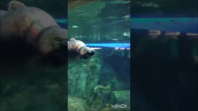 Подводный мир!