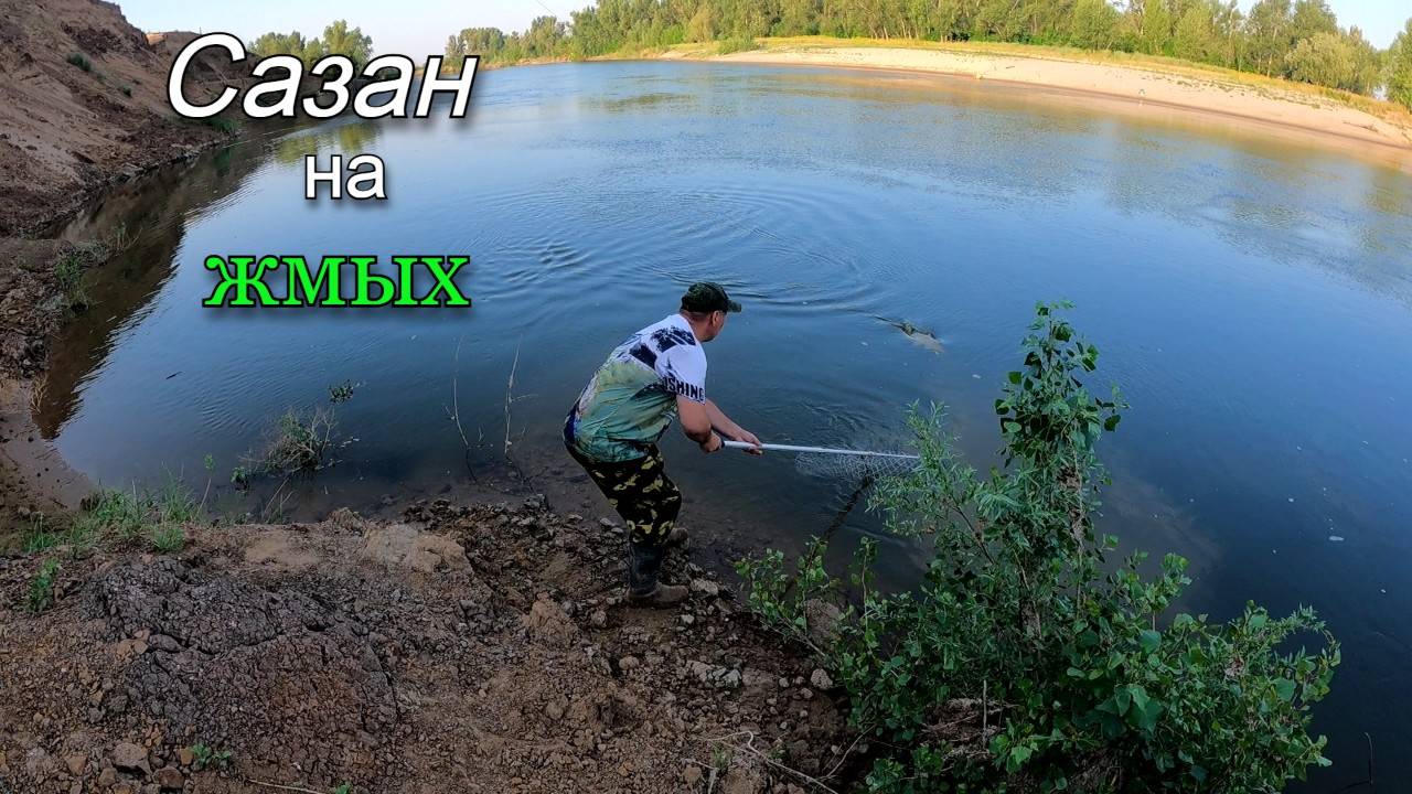Поймал САЗАНА на макушатник смотреть онлайн