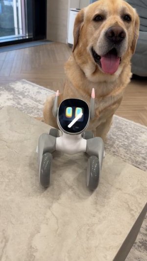 Роботы заменят собак?🐶