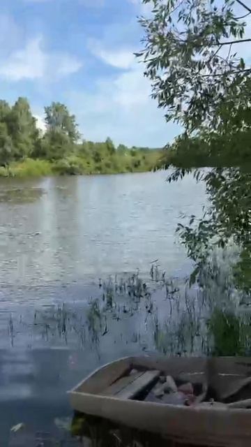 Участок под Рекреацию. 1,9 га. Лесной фонд