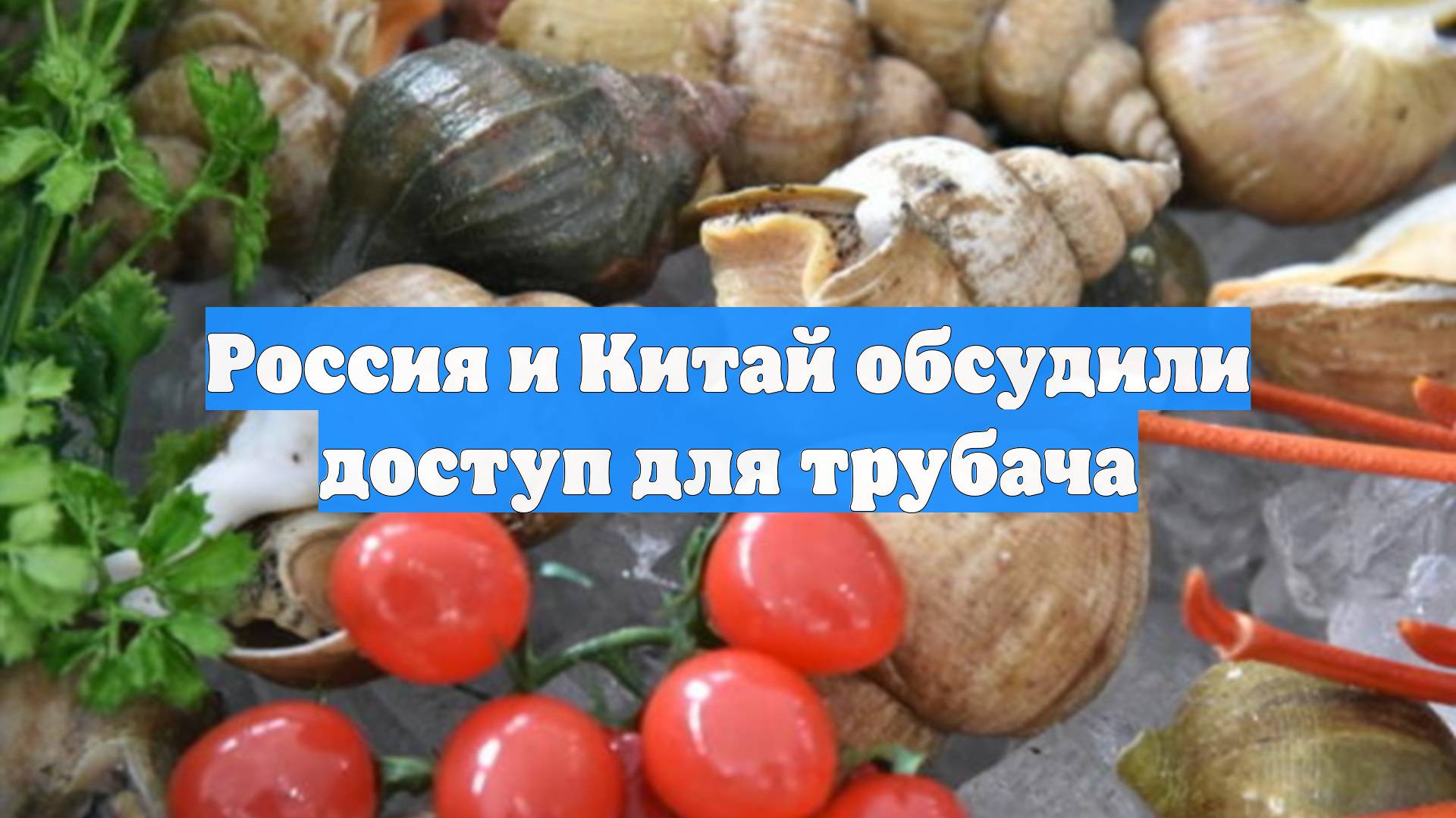 Россия и Китай обсудили доступ для трубача