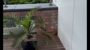 Архитектор by Provence 4* Сочи Обзор. Май 2025