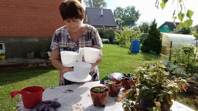 Весь день как белка в колесе. смотреть онлайн