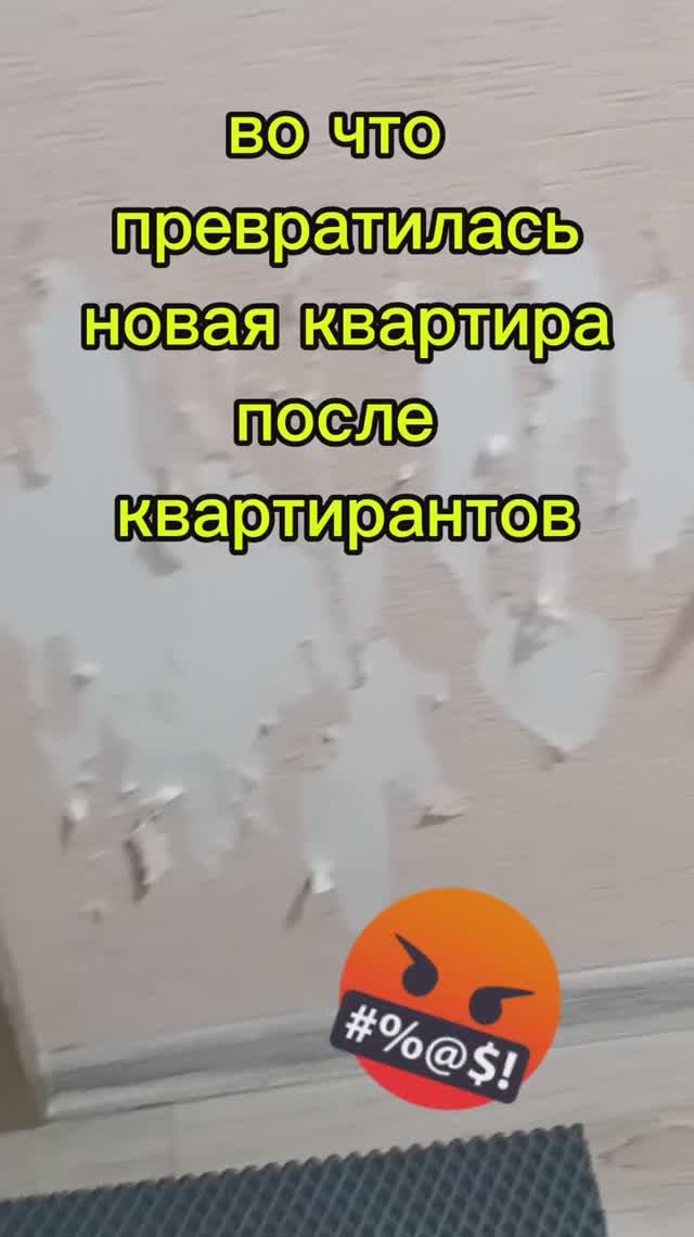 Нашу новую квартиру убили квартиранты