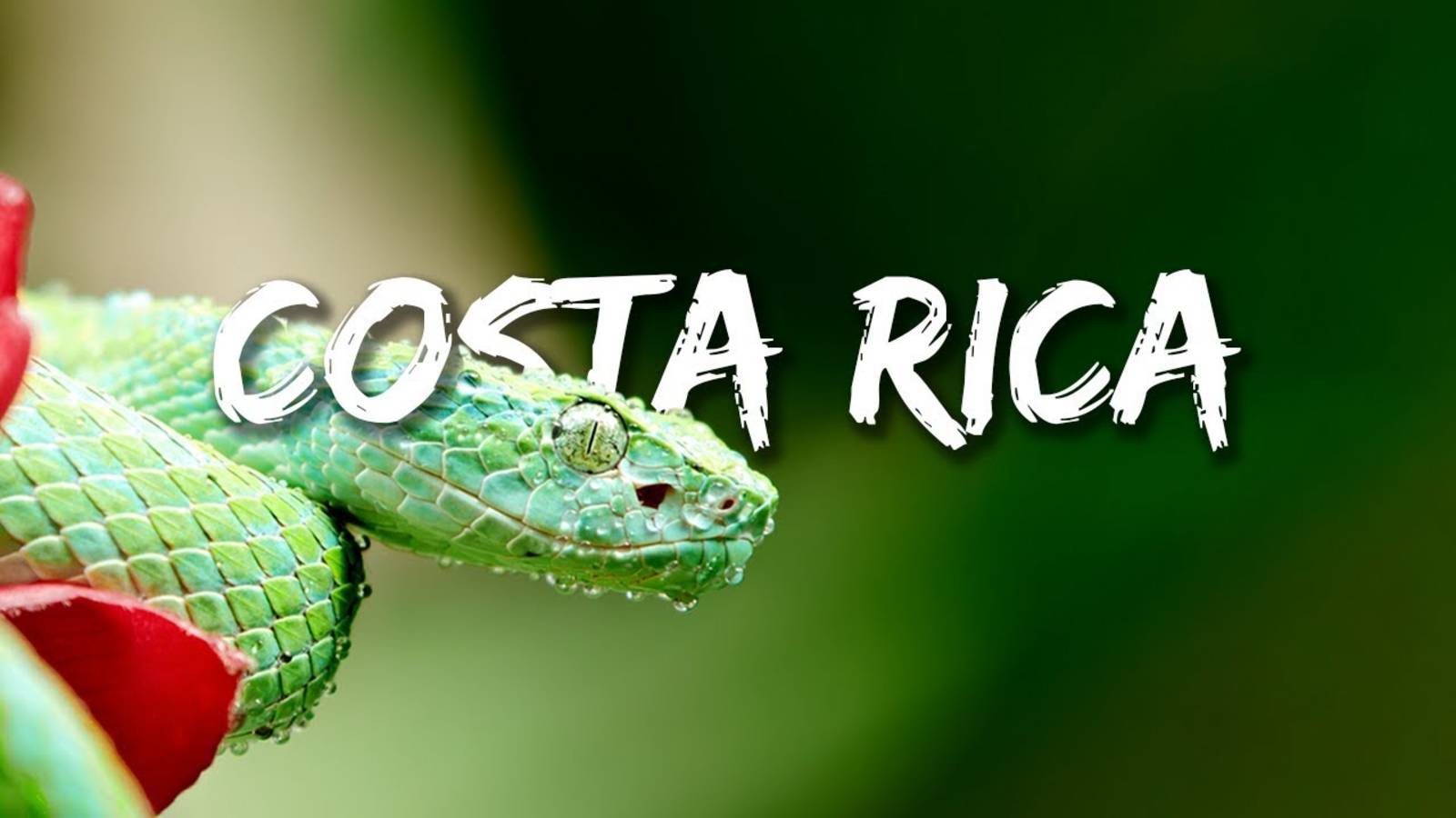 COSTA RICA/Коста-Рика смотреть онлайн