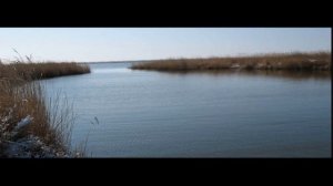 Район Доволенский. сл. С Потапов