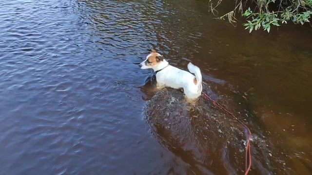 На рыбалку.mp4 смотреть онлайн