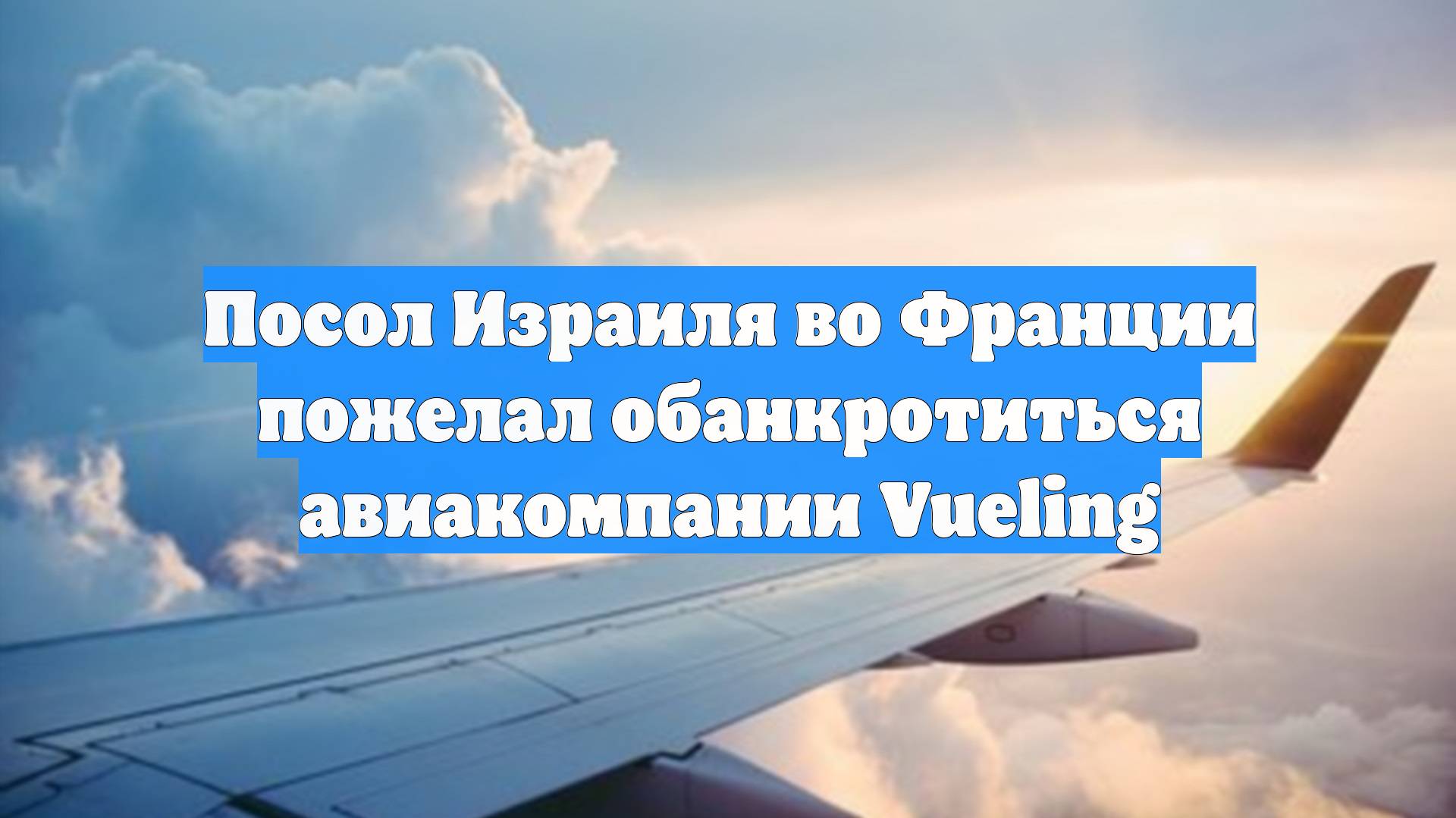Посол Израиля во Франции пожелал обанкротиться авиакомпании Vueling