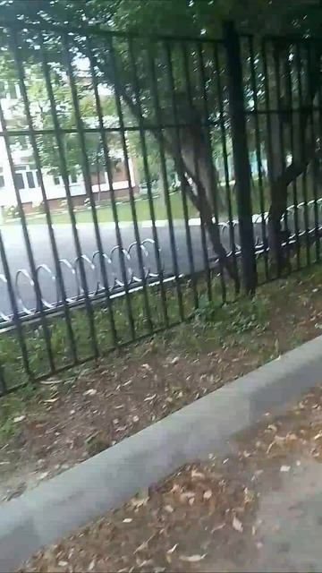 это наверно его дом