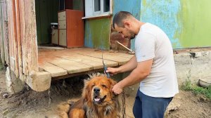 Пришло его время! По-другому не получается! Перестройка старого дома продолжается. Жизнь в деревне.