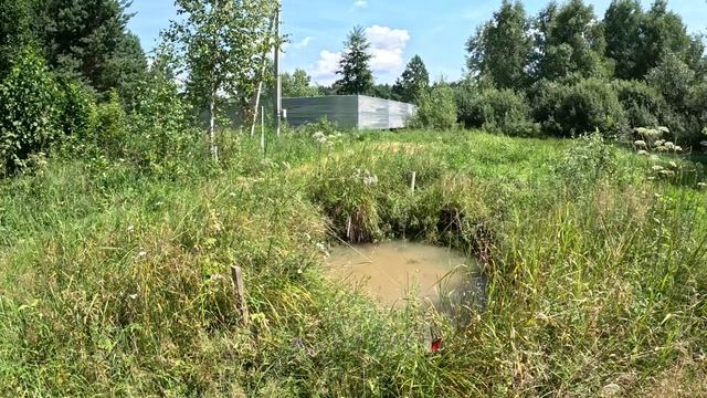 Расчистка участка на болоте. Копаем дренаж.