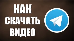 Как скачать видео с Телеграмма на компьютер