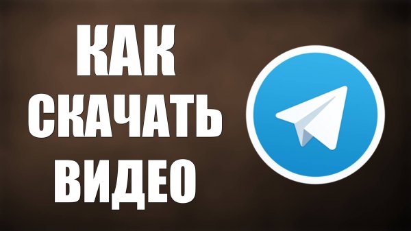 Как скачать видео с Телеграмма на компьютер