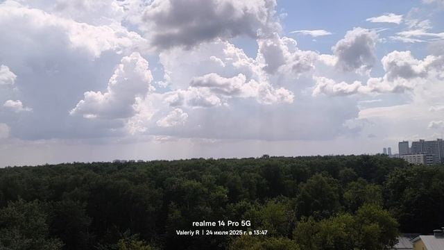 Москва, лесопарк Лосиный остров 24.07.2025 смотреть онлайн