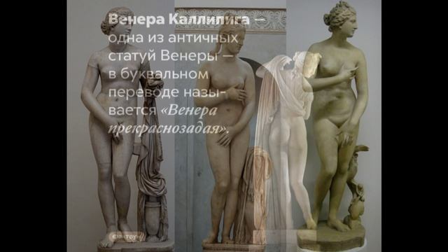 КОЛХОЗ В АБИТУРЕ ЧАСТЬ ТРЕТЬЯ