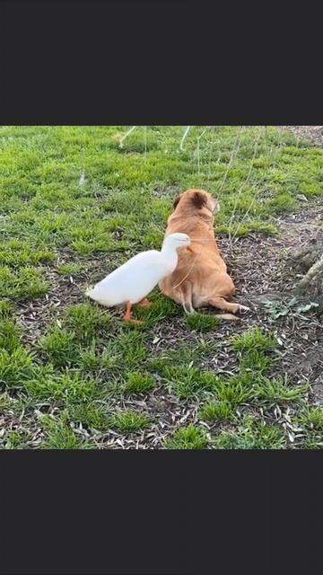 Главное во время убежать смотреть онлайн