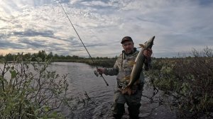 Немного терпения и поиска и вот уже злые щуки показывают свой характер на крючке.